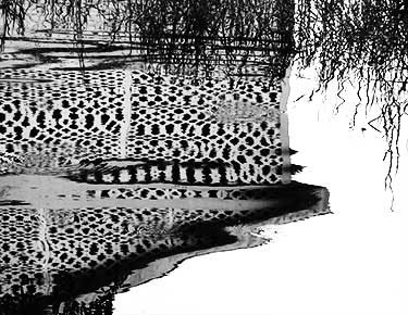 boathouse-at-mt-dora