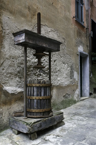 The Olive Press