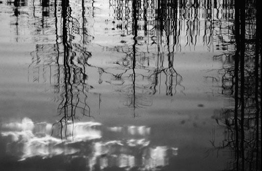 Okefenokee reflections-B&W