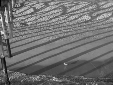 pier-shadow-1