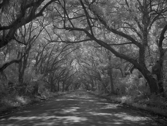 RMKnapik_20040921_010