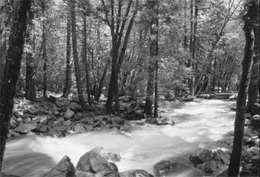 yosemite-stream